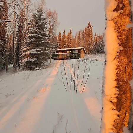 Northwoods Cottage Bed&Breakfast Fairbanks Exteriör bild