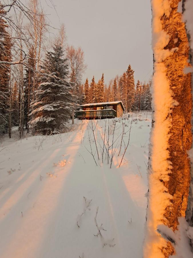 Northwoods Cottage Bed&Breakfast Fairbanks Exteriör bild