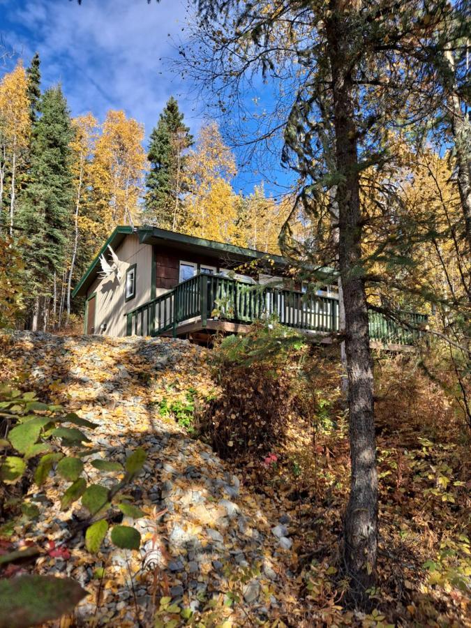 Northwoods Cottage Bed&Breakfast Fairbanks Exteriör bild