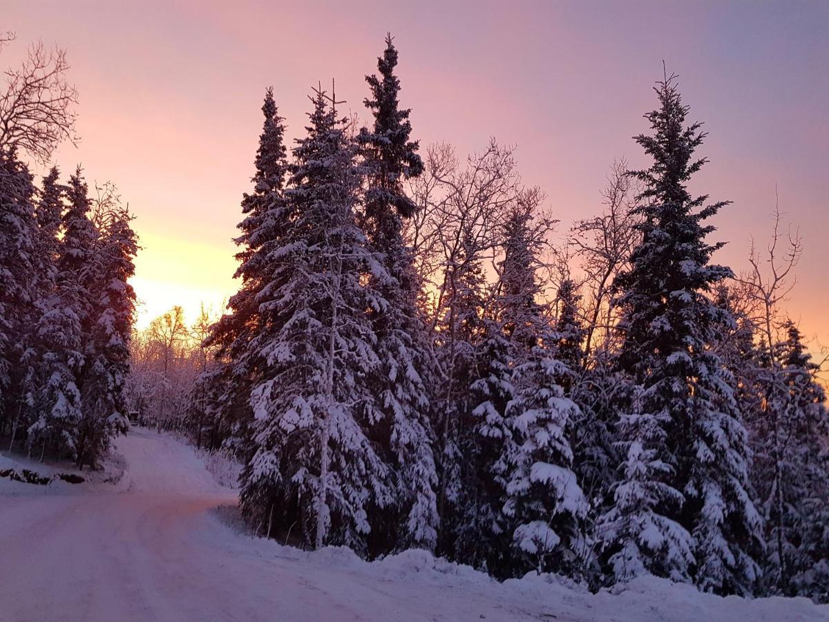Northwoods Cottage Bed&Breakfast Fairbanks Exteriör bild