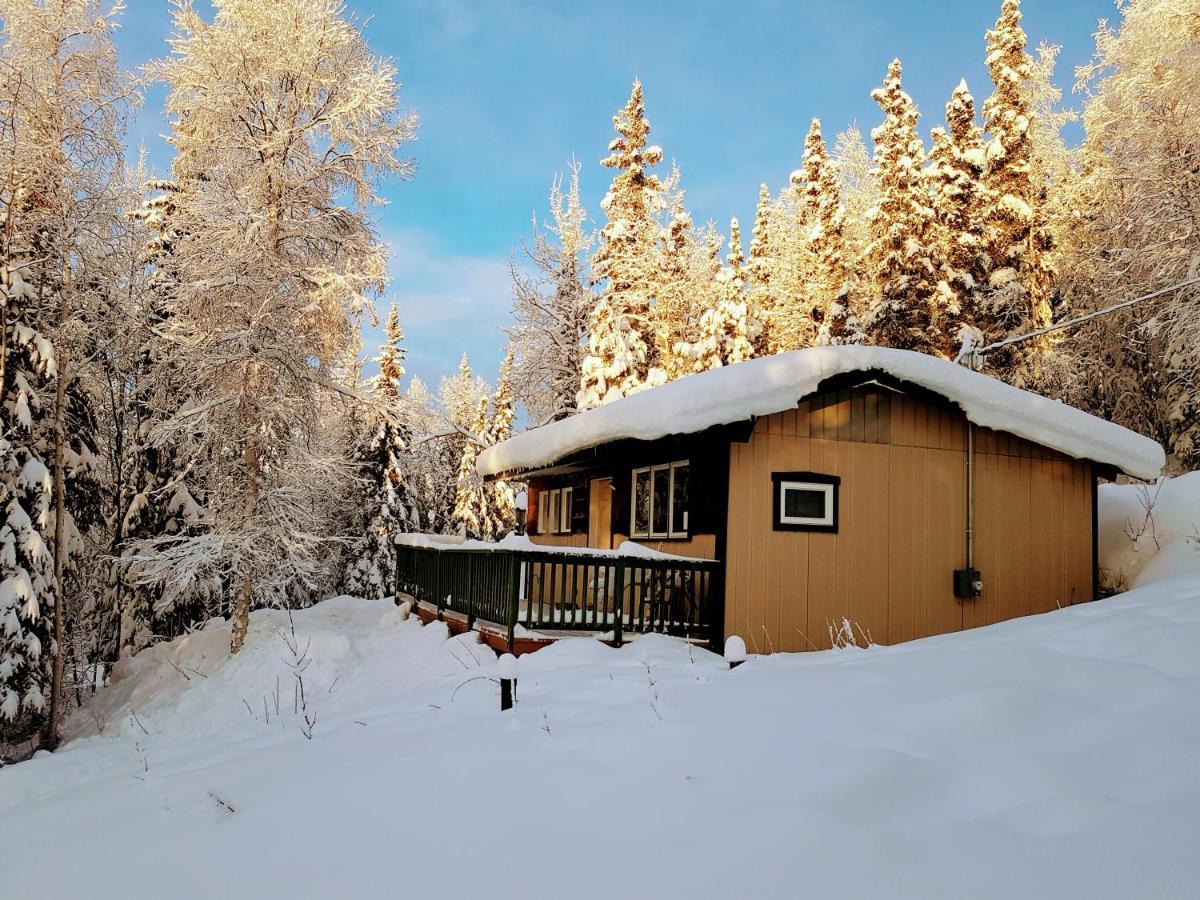 Northwoods Cottage Bed&Breakfast Fairbanks Exteriör bild