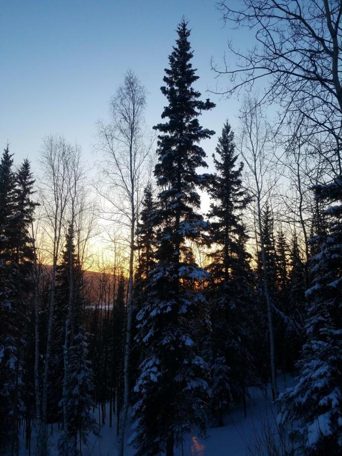 Northwoods Cottage Bed&Breakfast Fairbanks Exteriör bild