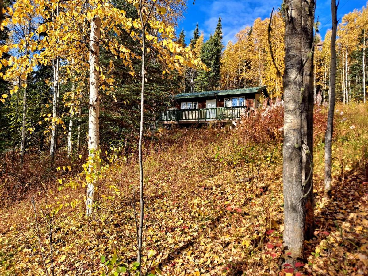 Northwoods Cottage Bed&Breakfast Fairbanks Exteriör bild