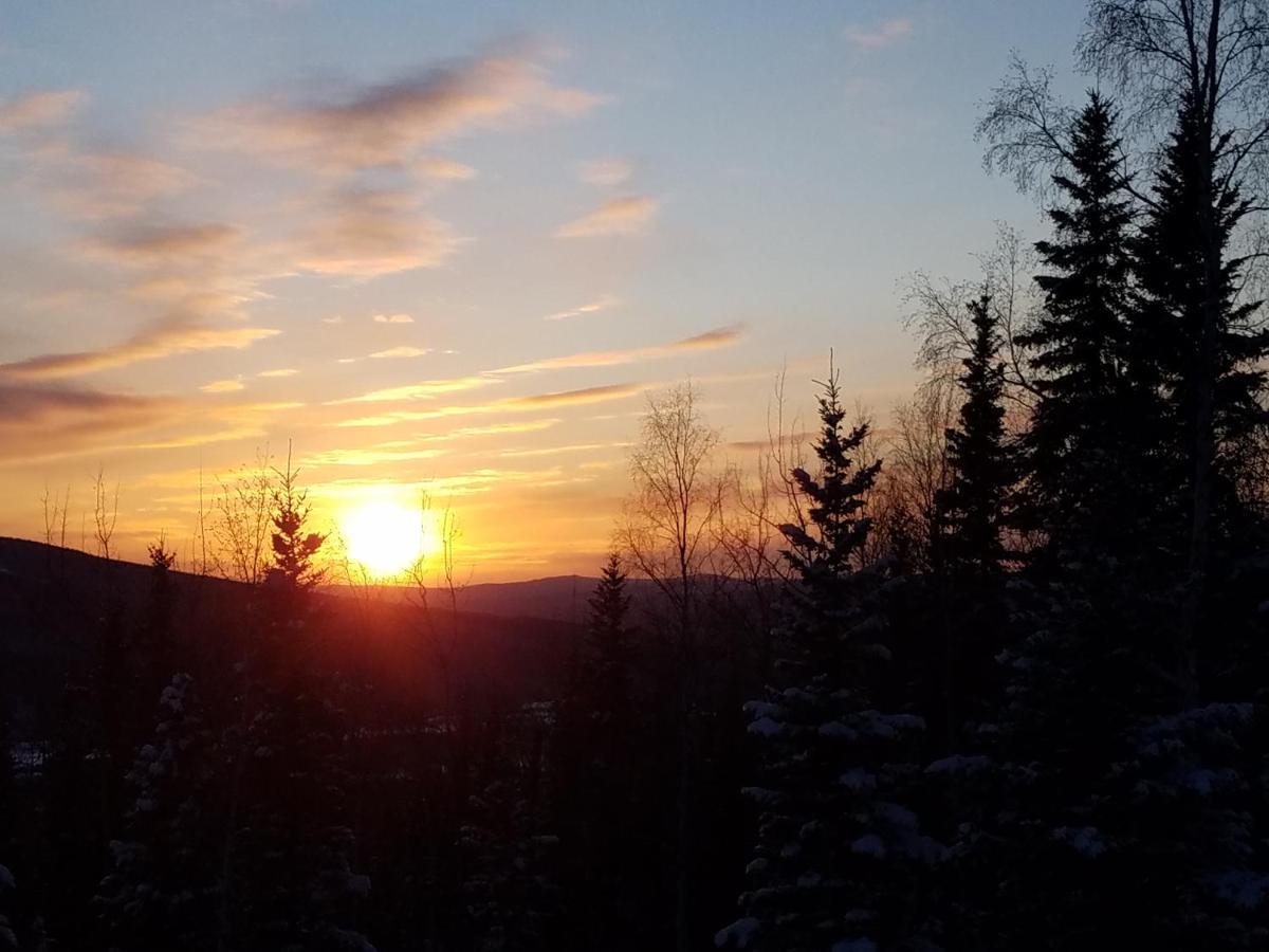 Northwoods Cottage Bed&Breakfast Fairbanks Exteriör bild