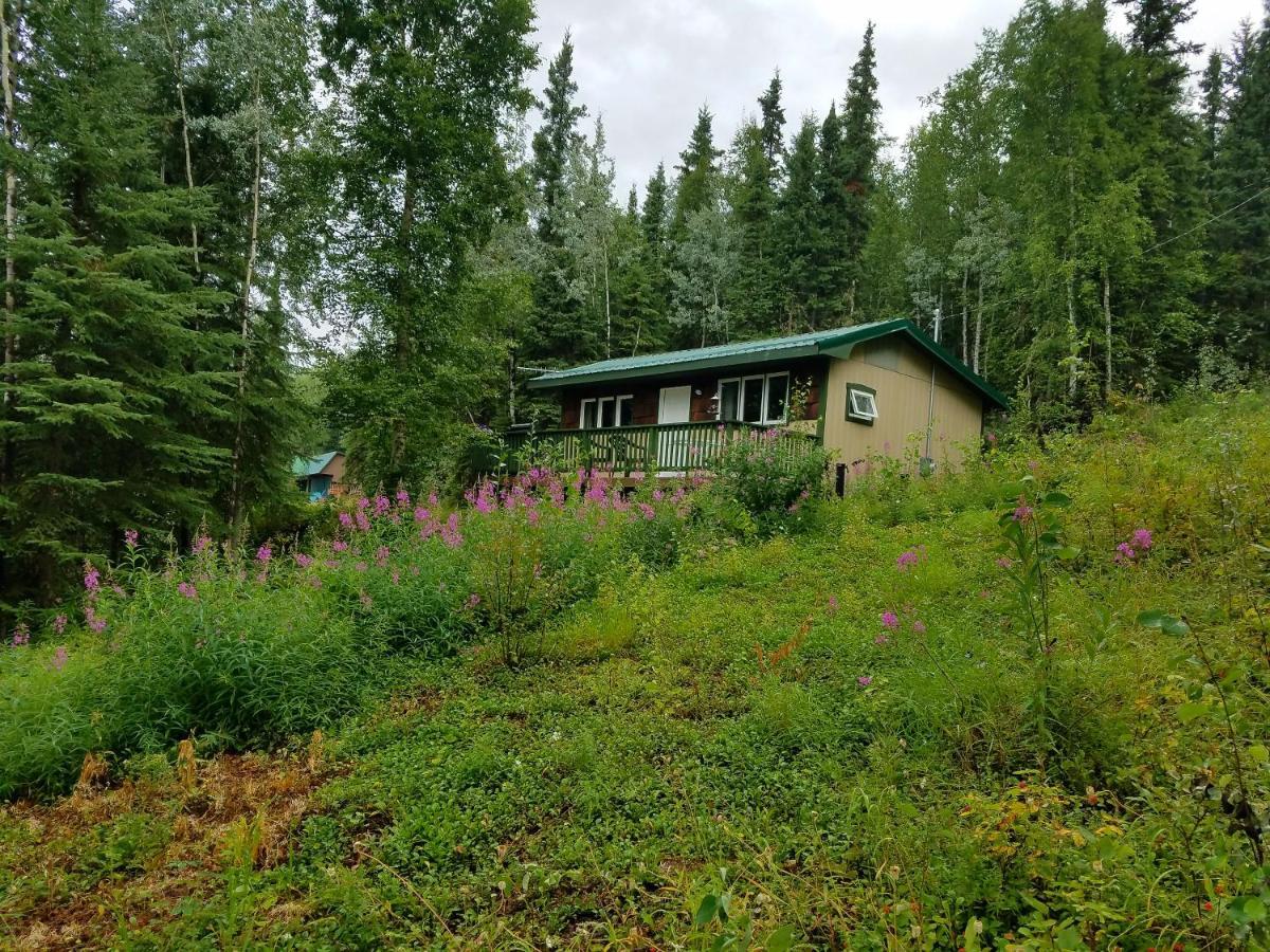 Northwoods Cottage Bed&Breakfast Fairbanks Exteriör bild