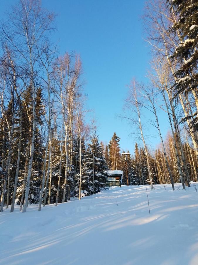 Northwoods Cottage Bed&Breakfast Fairbanks Exteriör bild