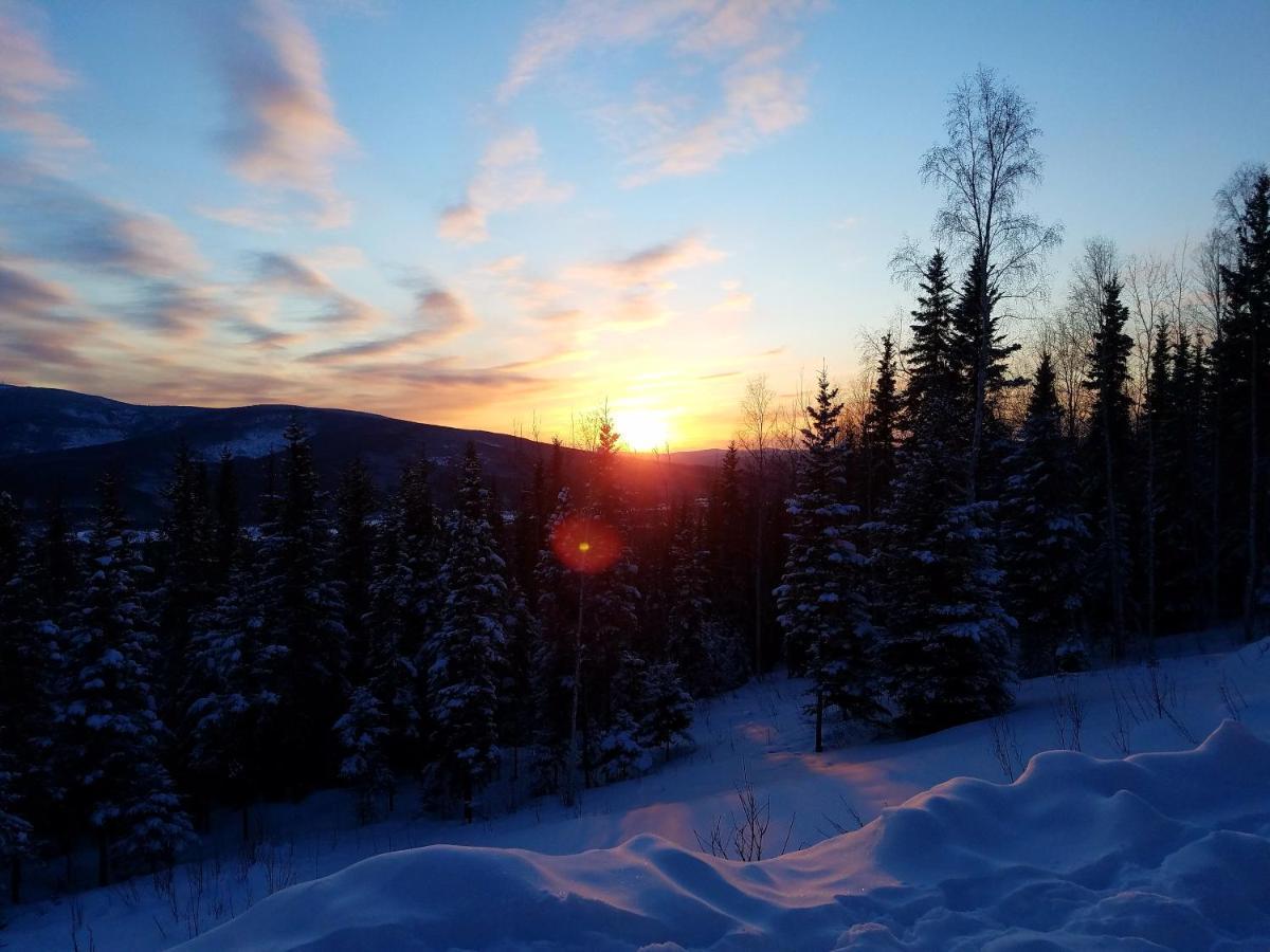 Northwoods Cottage Bed&Breakfast Fairbanks Exteriör bild