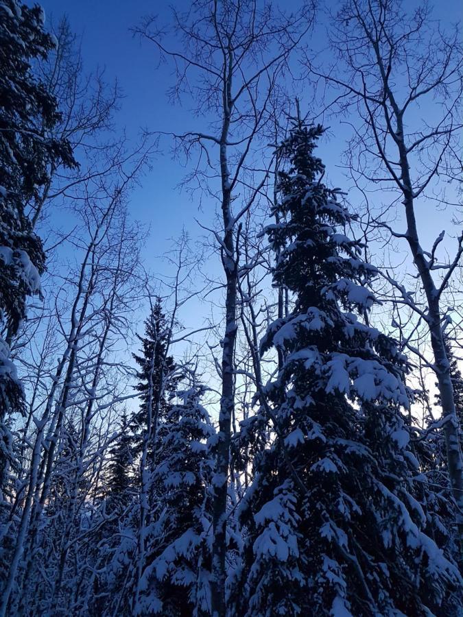 Northwoods Cottage Bed&Breakfast Fairbanks Exteriör bild