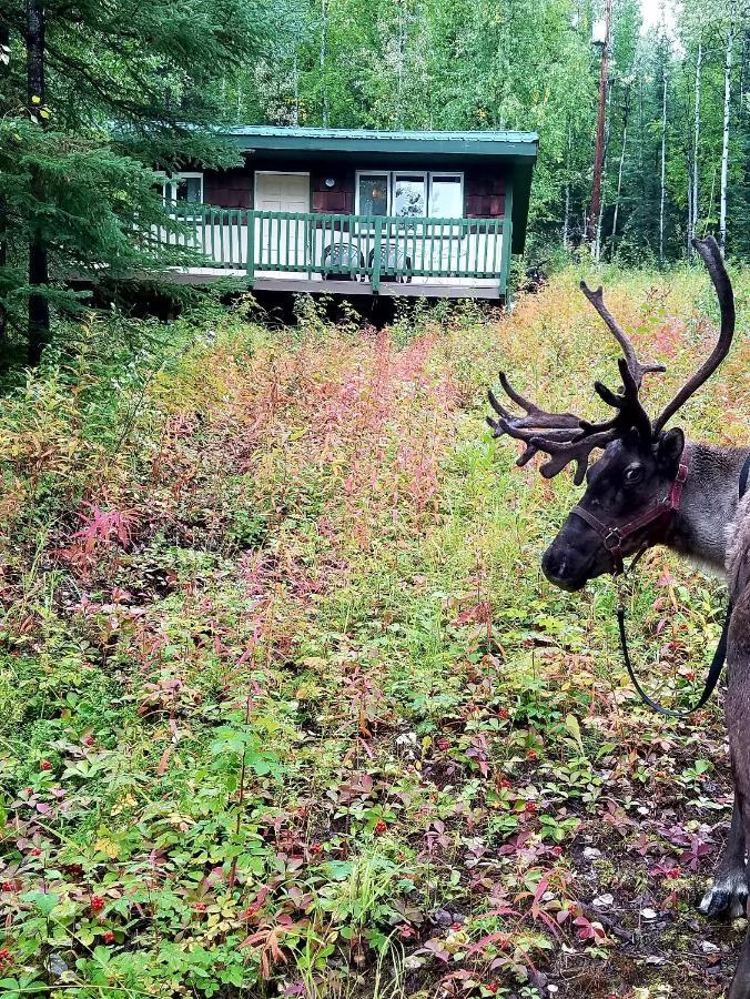 Northwoods Cottage Bed&Breakfast Fairbanks Exteriör bild