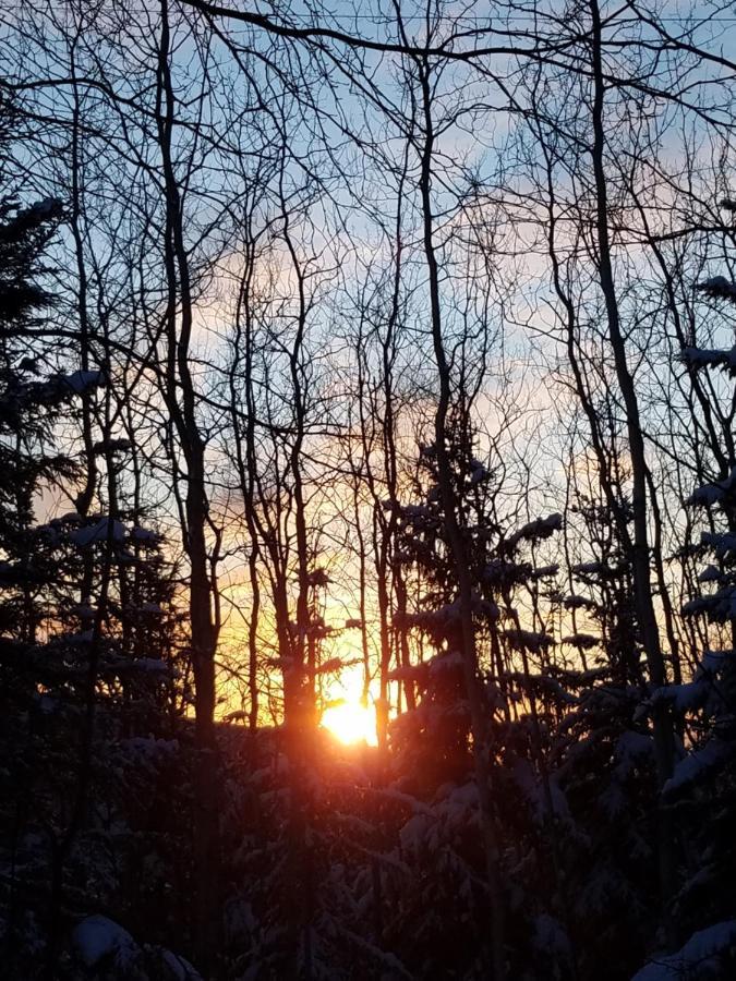 Northwoods Cottage Bed&Breakfast Fairbanks Exteriör bild