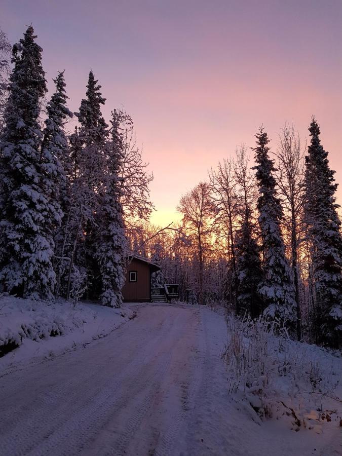 Northwoods Cottage Bed&Breakfast Fairbanks Exteriör bild