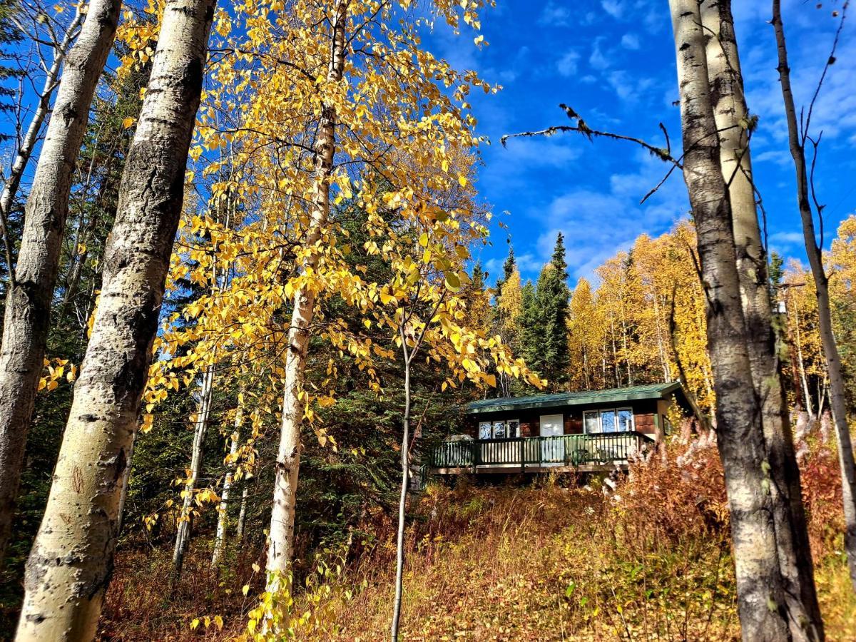 Northwoods Cottage Bed&Breakfast Fairbanks Exteriör bild