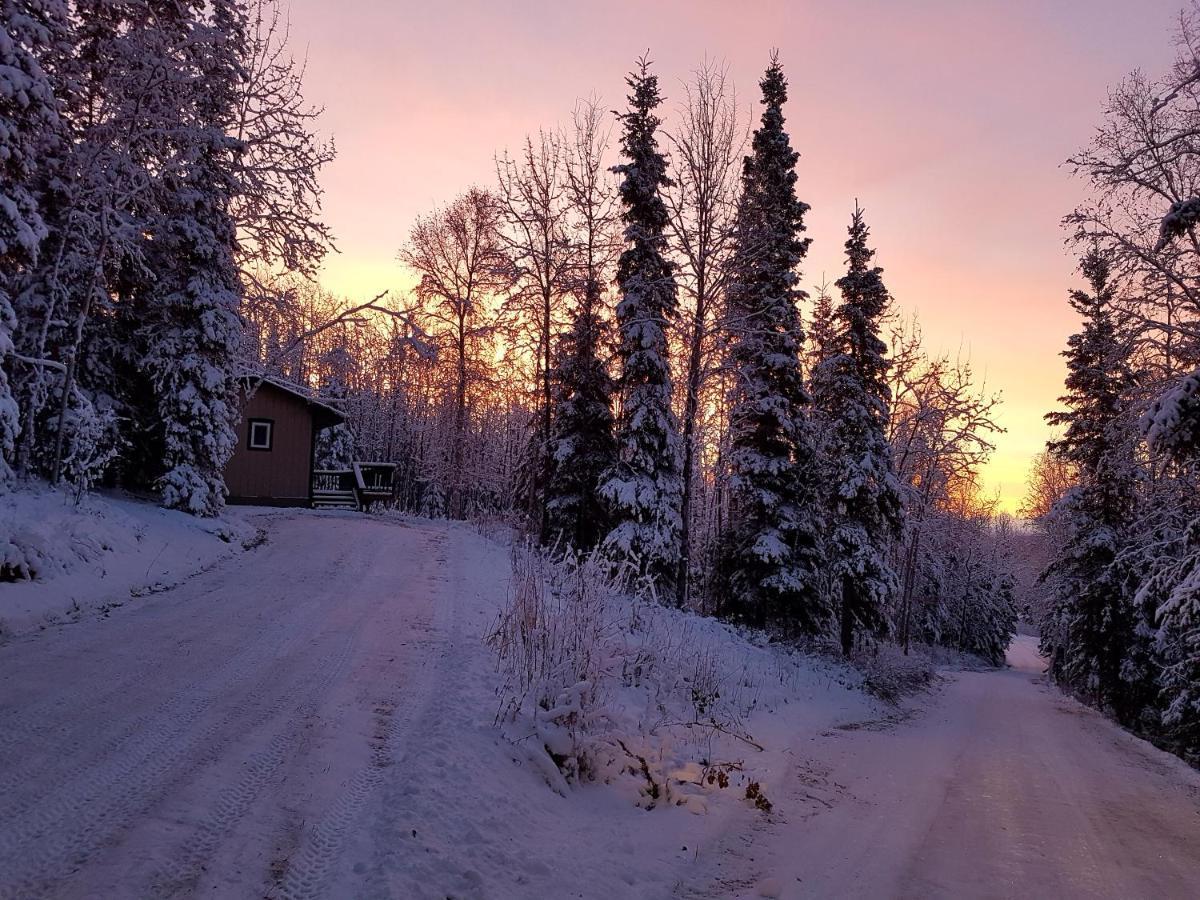 Northwoods Cottage Bed&Breakfast Fairbanks Exteriör bild