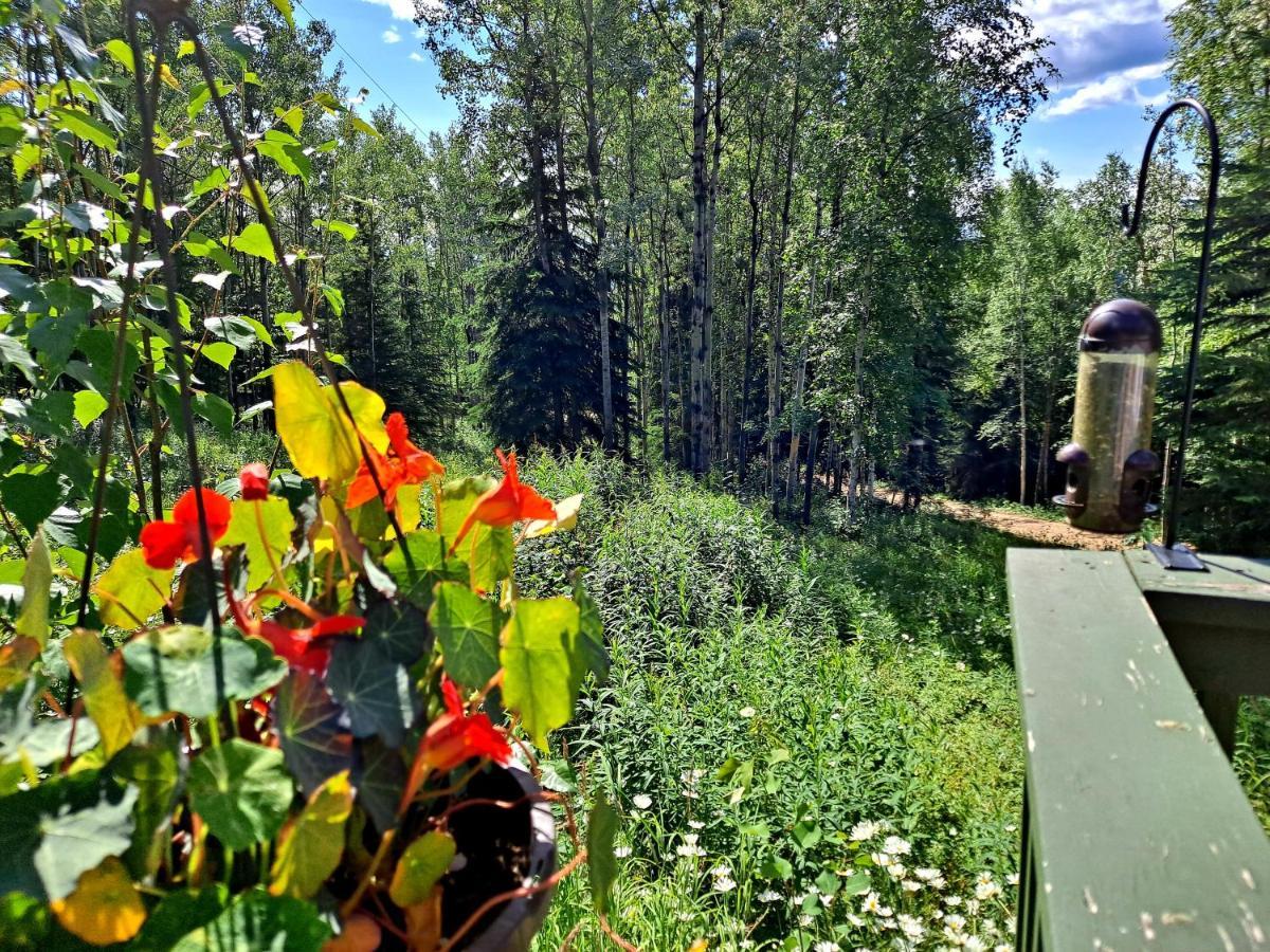 Northwoods Cottage Bed&Breakfast Fairbanks Exteriör bild