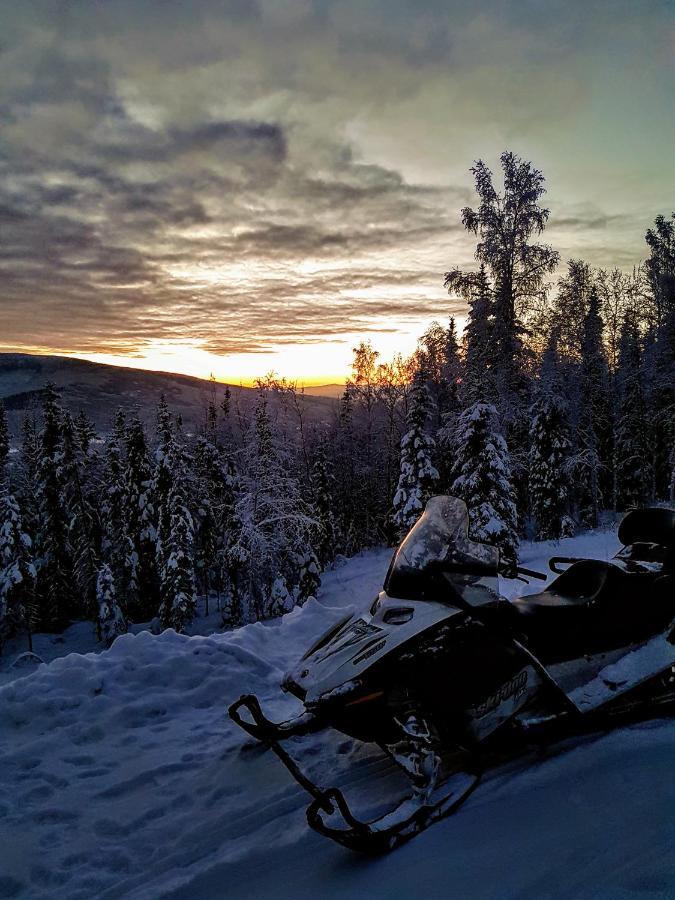 Northwoods Cottage Bed&Breakfast Fairbanks Exteriör bild