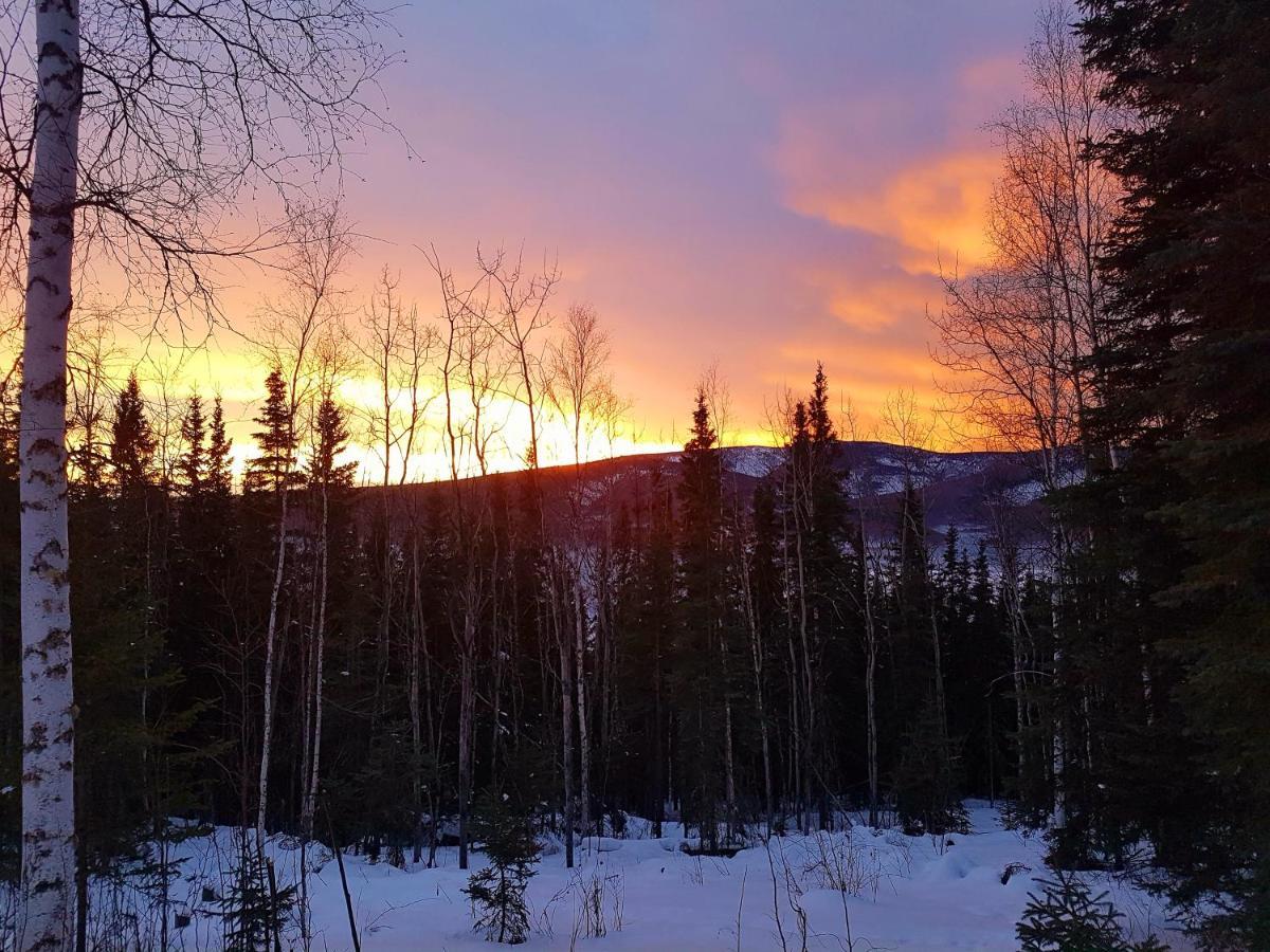 Northwoods Cottage Bed&Breakfast Fairbanks Exteriör bild