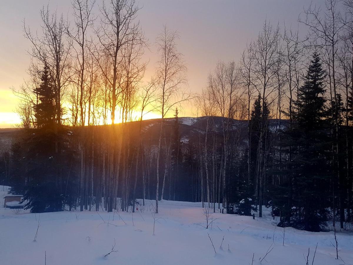 Northwoods Cottage Bed&Breakfast Fairbanks Exteriör bild