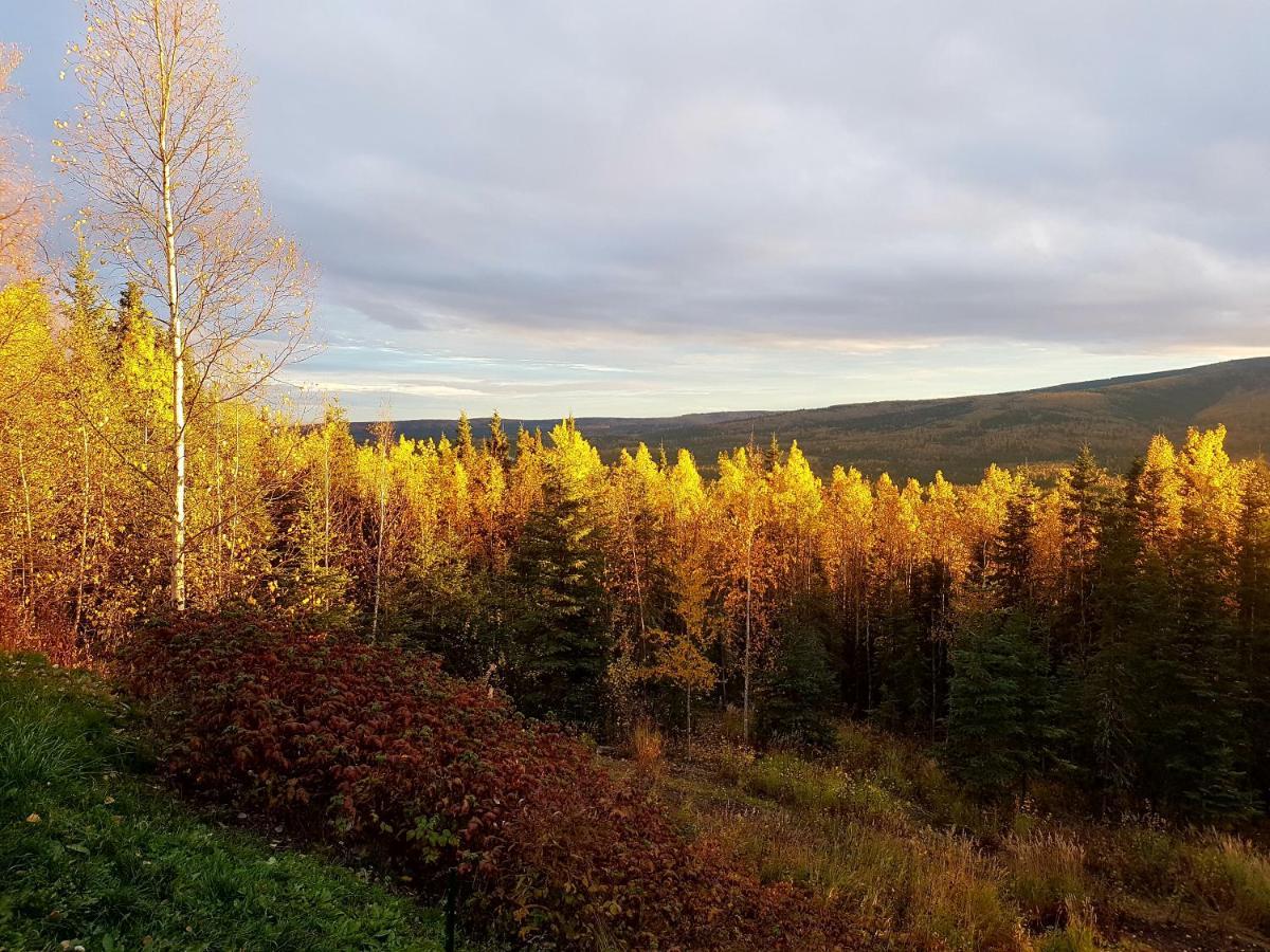 Northwoods Cottage Bed&Breakfast Fairbanks Exteriör bild