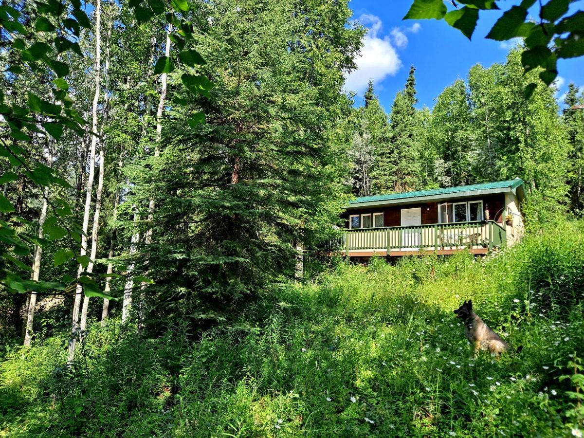 Northwoods Cottage Bed&Breakfast Fairbanks Exteriör bild
