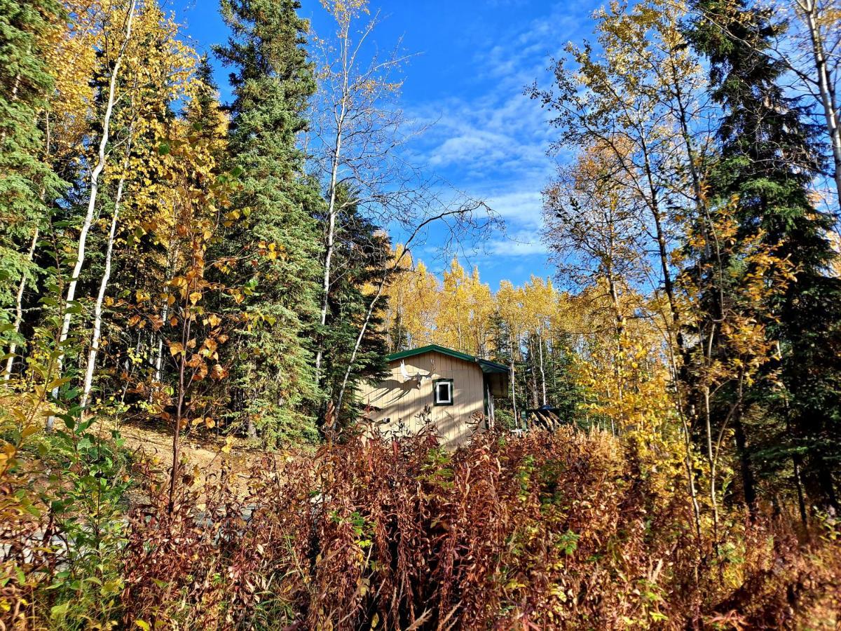 Northwoods Cottage Bed&Breakfast Fairbanks Exteriör bild