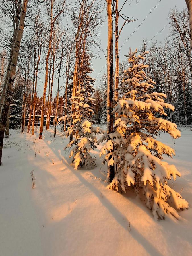 Northwoods Cottage Bed&Breakfast Fairbanks Exteriör bild
